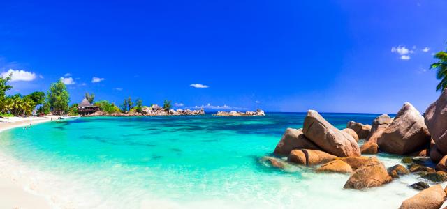Tropical Beach